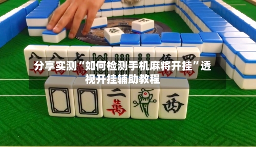分享实测“如何检测手机麻将开挂”透视开挂辅助教程-第2张图片