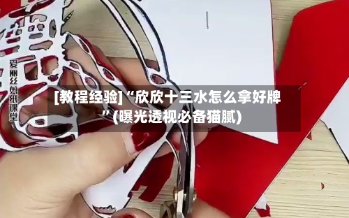 [教程经验]“欣欣十三水怎么拿好牌”(曝光透视必备猫腻)-第3张图片