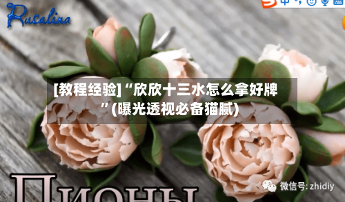 [教程经验]“欣欣十三水怎么拿好牌”(曝光透视必备猫腻)-第2张图片