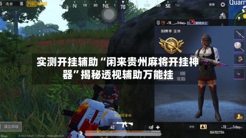 实测开挂辅助“闲来贵州麻将开挂神器	”揭秘透视辅助万能挂-第3张图片