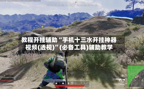 教程开挂辅助“手机十三水开挂神器视频(透视)”(必备工具)辅助教学-第2张图片