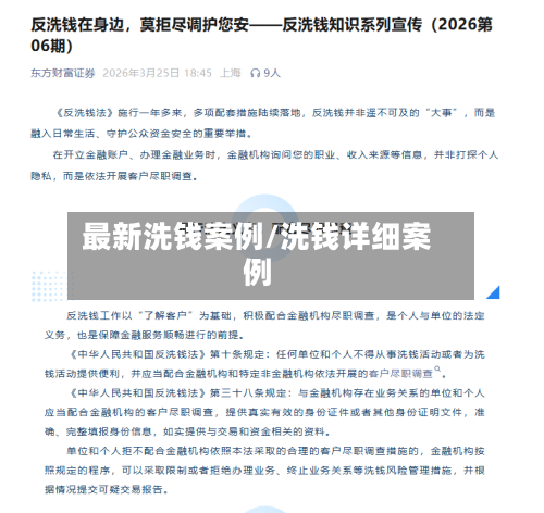 最新洗钱案例/洗钱详细案例-第2张图片