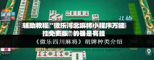辅助教程“微乐河北麻将小程序万能挂免费版”的确是有挂-第3张图片
