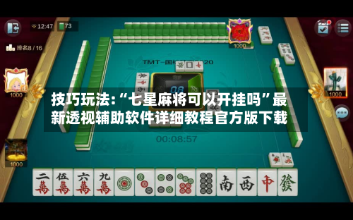 技巧玩法:“七星麻将可以开挂吗	”最新透视辅助软件详细教程官方版下载-第2张图片