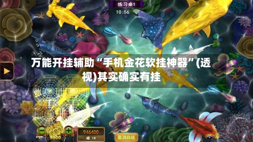 万能开挂辅助“手机金花软挂神器”(透视)其实确实有挂-第2张图片