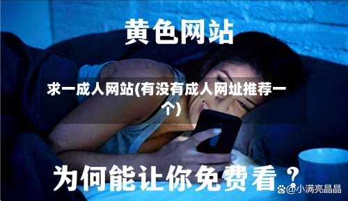 求一成人网站(有没有成人网址推荐一个)-第3张图片