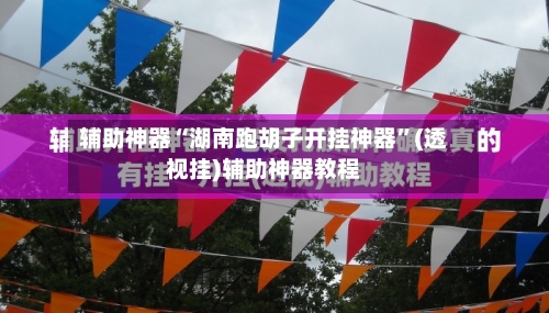 辅助神器“湖南跑胡子开挂神器”(透视挂)辅助神器教程