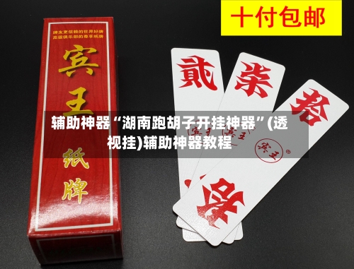 辅助神器“湖南跑胡子开挂神器	”(透视挂)辅助神器教程-第2张图片