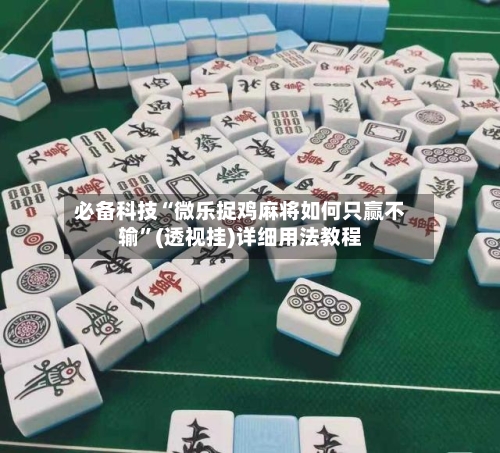 必备科技“微乐捉鸡麻将如何只赢不输”(透视挂)详细用法教程-第3张图片