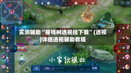 实测辅助“摇钱树透视挂下载”(透视)详细透视辅助教程-第2张图片