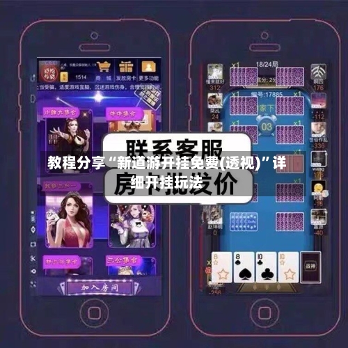 教程分享“新道游开挂免费(透视)	”详细开挂玩法-第2张图片
