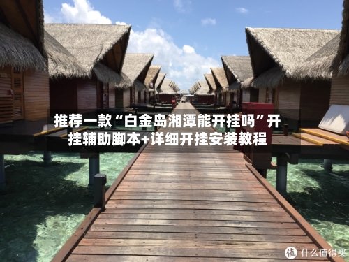 推荐一款“白金岛湘潭能开挂吗”开挂辅助脚本+详细开挂安装教程-第2张图片