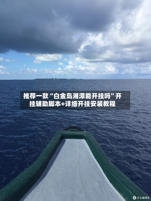 推荐一款“白金岛湘潭能开挂吗”开挂辅助脚本+详细开挂安装教程-第3张图片