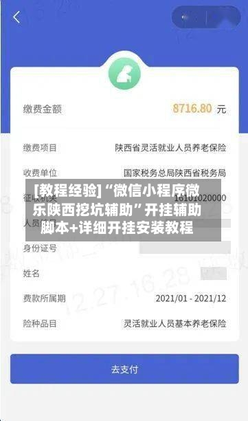 [教程经验]“微信小程序微乐陕西挖坑辅助”开挂辅助脚本+详细开挂安装教程-第3张图片