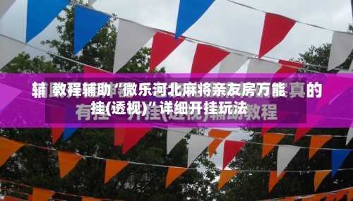 教程辅助“微乐河北麻将亲友房万能挂(透视)”详细开挂玩法-第2张图片