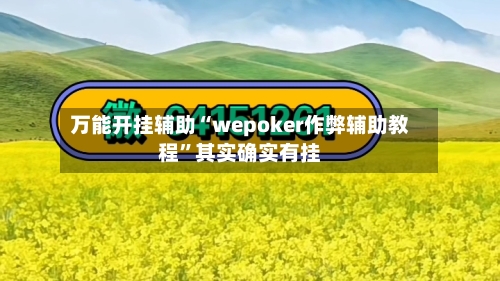 万能开挂辅助“wepoker作弊辅助教程	”其实确实有挂-第2张图片