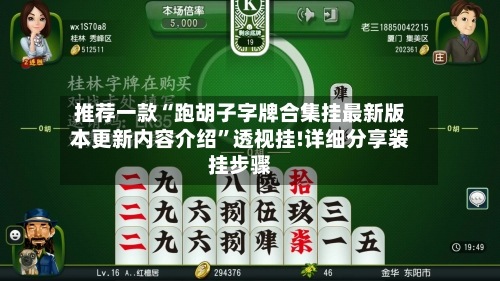推荐一款“跑胡子字牌合集挂最新版本更新内容介绍”透视挂!详细分享装挂步骤-第3张图片