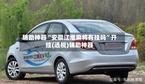 辅助神器“安徽江淮麻将有挂吗”开挂(透视)辅助神器-第2张图片