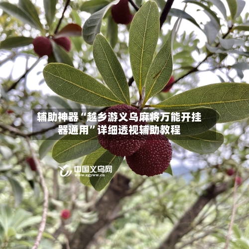 辅助神器“越乡游义乌麻将万能开挂器通用”详细透视辅助教程-第2张图片