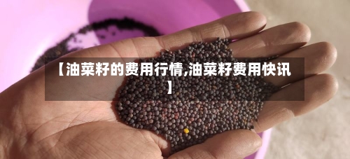 【油菜籽的费用行情,油菜籽费用快讯】-第3张图片
