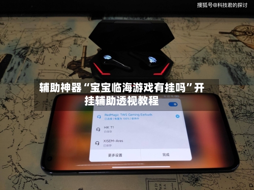 辅助神器“宝宝临海游戏有挂吗”开挂辅助透视教程-第2张图片