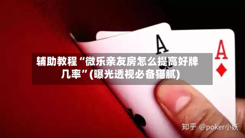 辅助教程“微乐亲友房怎么提高好牌几率”(曝光透视必备猫腻)-第2张图片