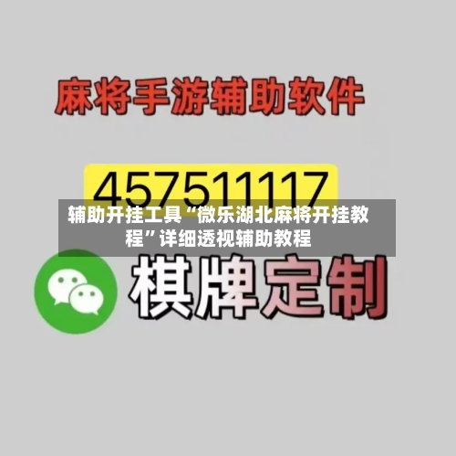 辅助开挂工具“微乐湖北麻将开挂教程”详细透视辅助教程