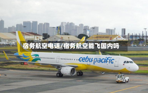 宿务航空电话/宿务航空能飞国内吗-第3张图片