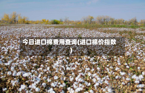 今日进口棉费用查询(进口棉价指数)-第2张图片
