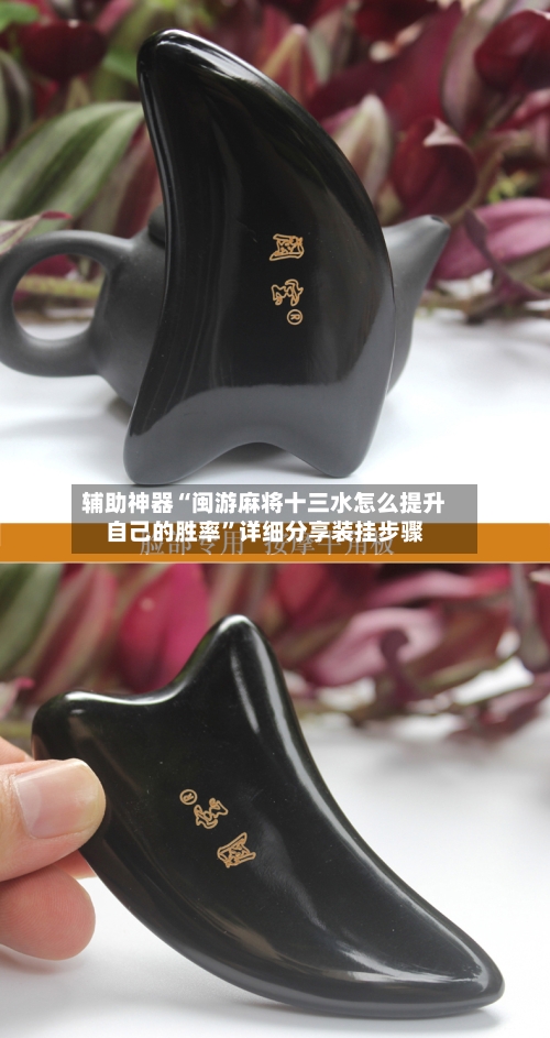 辅助神器“闽游麻将十三水怎么提升自己的胜率”详细分享装挂步骤-第3张图片