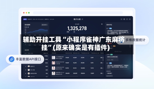 辅助开挂工具“小程序雀神广东麻将挂”(原来确实是有插件)-第3张图片