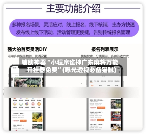 辅助神器“小程序雀神广东麻将万能开挂器免费	”(曝光透视必备猫腻)-第2张图片