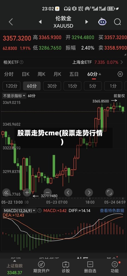 股票走势cme(股票走势行情)