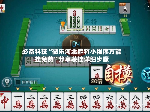 必备科技“微乐河北麻将小程序万能挂免费”分享装挂详细步骤-第2张图片