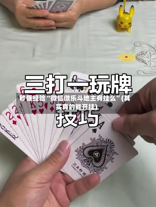 秒懂经验“微信微乐斗地主有挂么	”(其实真的能开挂)-第2张图片