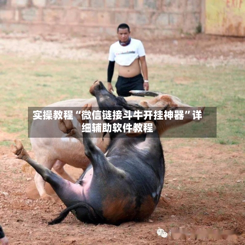 实操教程“微信链接斗牛开挂神器”详细辅助软件教程-第2张图片