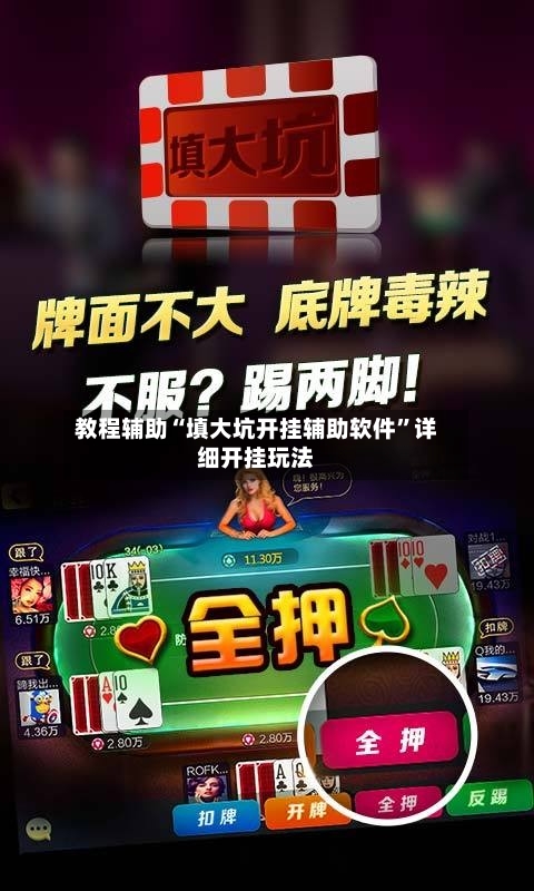 教程辅助“填大坑开挂辅助软件	”详细开挂玩法-第2张图片