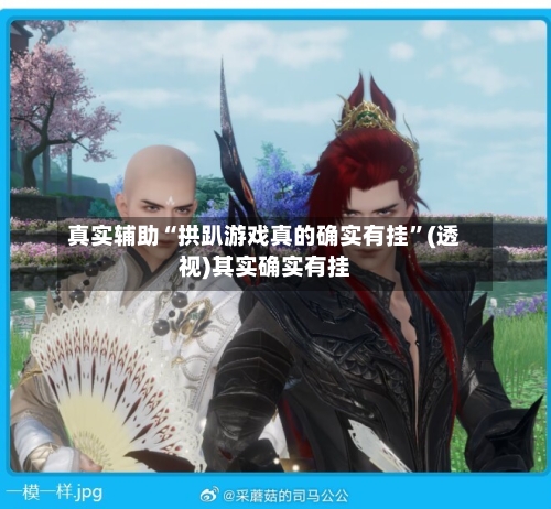 真实辅助“拱趴游戏真的确实有挂”(透视)其实确实有挂-第2张图片