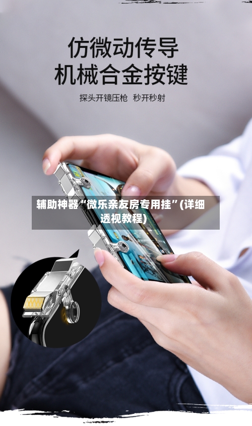 辅助神器“微乐亲友房专用挂”(详细透视教程)-第2张图片