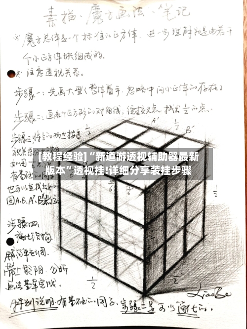 [教程经验]“新道游透视辅助器最新版本”透视挂!详细分享装挂步骤-第2张图片