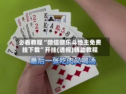 必看教程“微信微乐斗地主免费挂下载”开挂(透视)辅助教程-第2张图片
