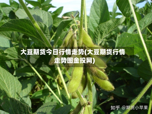 大豆期货今日行情走势(大豆期货行情走势图金投网)-第3张图片