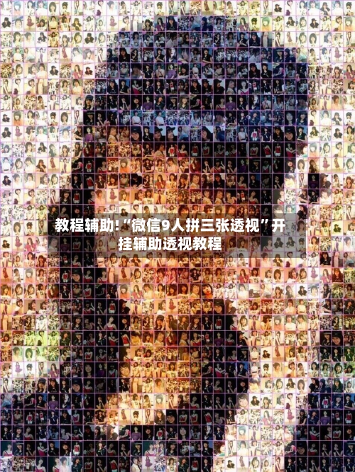 教程辅助!“微信9人拼三张透视”开挂辅助透视教程-第3张图片
