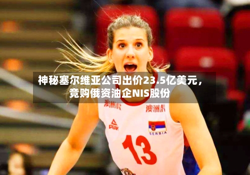 神秘塞尔维亚公司出价23.5亿美元	，竞购俄资油企NIS股份-第3张图片