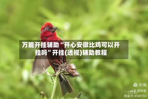 万能开挂辅助“开心安徽比鸡可以开挂吗”开挂(透视)辅助教程