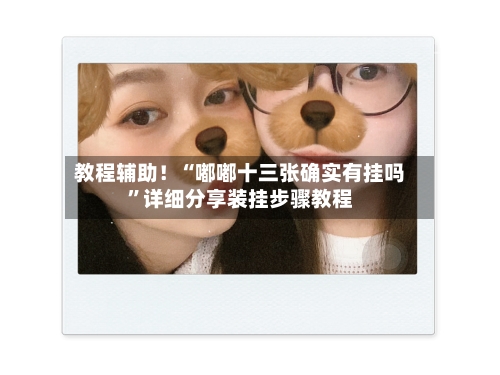 教程辅助！“嘟嘟十三张确实有挂吗	”详细分享装挂步骤教程-第2张图片