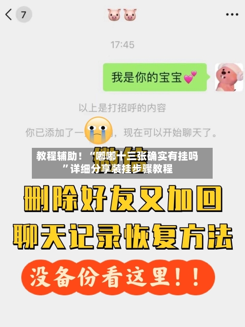 教程辅助！“嘟嘟十三张确实有挂吗”详细分享装挂步骤教程-第3张图片
