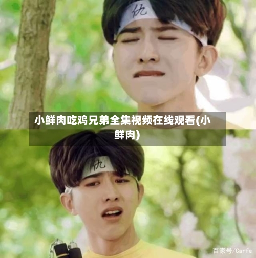 小鲜肉吃鸡兄弟全集视频在线观看(小 鲜肉)-第3张图片