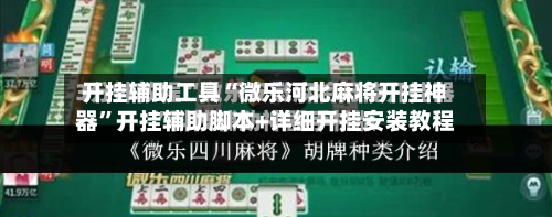 开挂辅助工具“微乐河北麻将开挂神器”开挂辅助脚本+详细开挂安装教程-第3张图片