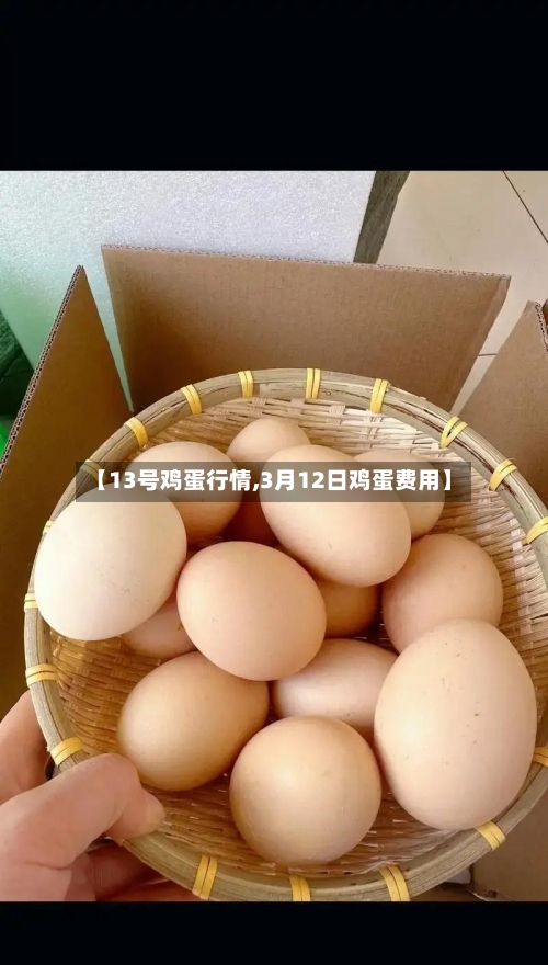 【13号鸡蛋行情,3月12日鸡蛋费用】-第3张图片